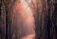 英格兰篮球协会举办选拔赛事，选拔优秀球员