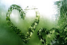 英格兰篮球协会举办选拔赛事，选拔优秀球员