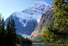 华拉多利德取得胜利，领军成功