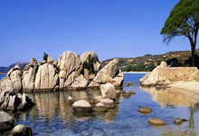 鲁伊进球帮助罗马绝杀，成功力挫桑普多利亚